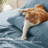 Bedsure Polyester Microfiber Sheet Set Hotel Luxury Sheets, Easy Care Cooling Bed Sheet Set 84GSM(65" x 99")GentleSoft™️-105311077-105311076