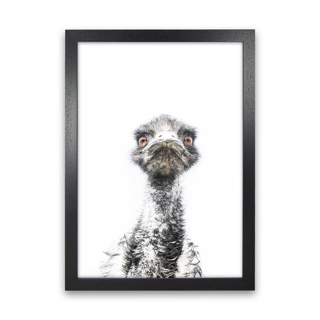 E.M.U by Victoria Frost - Photograph Print