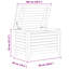 Camp Trunk / Footlocker-382813691