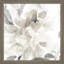 «Soft May Blooms» par Lanie Loreth, art encadré (ensemble de 2)