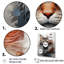 Maine Coon Majesty Cat I - chat, art mural sur toile-95894447-95894448