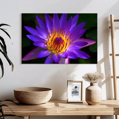 Harnek Hawaiian Water Lily