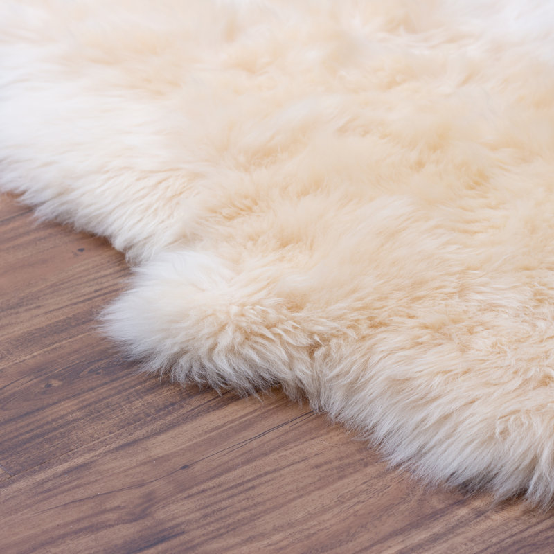 Fraley Sheepskin Indoor Rug, Novelty 2' x 3'