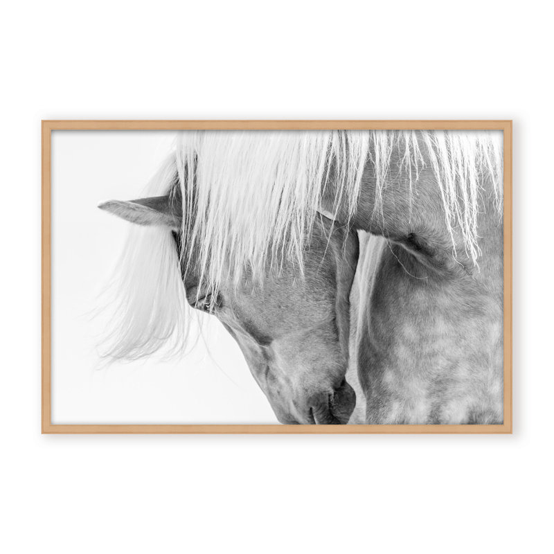 Nature Inspired Halflinger Portrait by  - Picture Frame Photograph on Paper, 24" H x 36" W x 1.125" D, Black