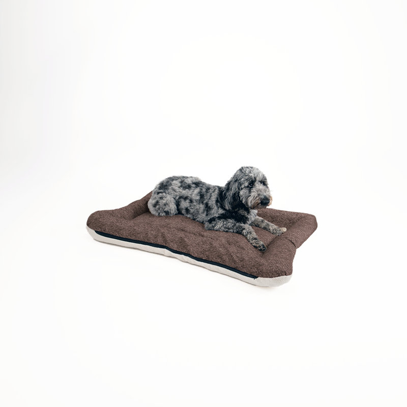 Lit pour chien et chat en microsuède réversible ivoire All Day with Cloud 9, H 5 po x l 50 po x P 37 po, Brun clair Merlin