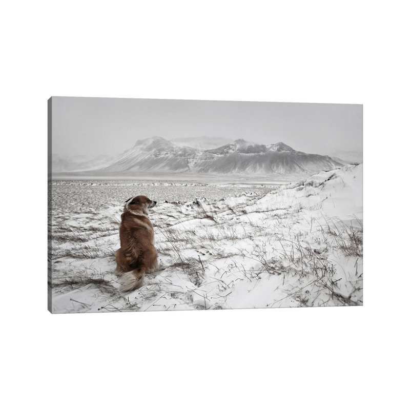 Snowstorm by Bragi Ingibergsson - Wrapped Canvas Print, 66.04 cm H x 45.72 cm W