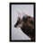 Black Framed is unavailable