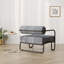 Fauteuil de salon en fer, gris-1067137549