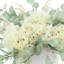 Hydrangea and Eucalyptus in Ceramic Pot