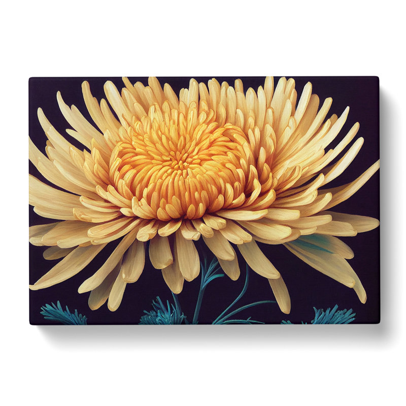 Charming Chrysanthemum Flower - Wrapped Canvas, 40cm H x 60cm W x 3cm D
