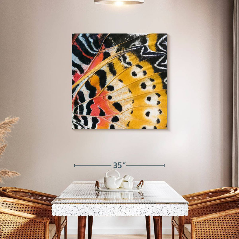 Brampt Monarch Butterfly Wing