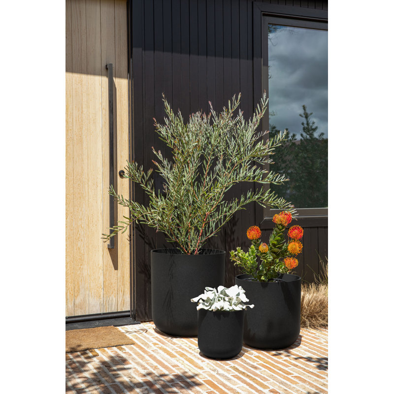 Mason Series Pot Planter, Black