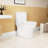 1.1/1.6 Toilet, Elongated Comfort Height, Floor Mounted, Ceramic White, Soft Close Seat, & , Height Approved