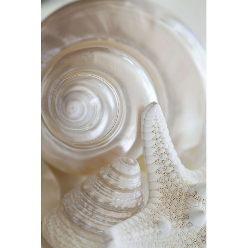 Pearlesce III by Christine Zalewski - Wrapped Canvas Photograph, 12" H x 8" W  