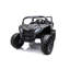 Voiture Dune Buggy-62260393