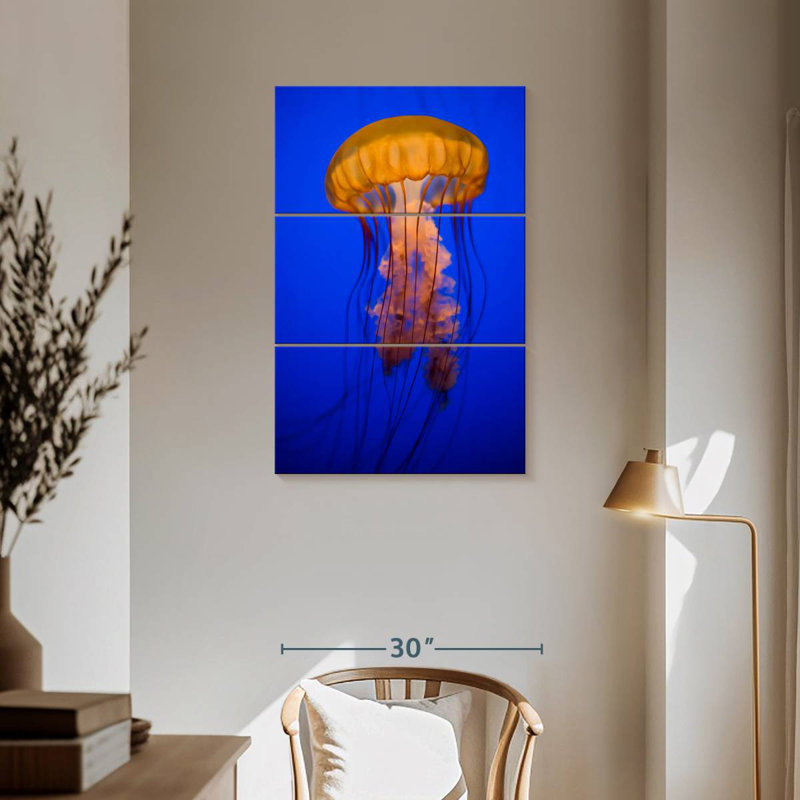 Brampt Gold Sea Nettle Jellyfish, 57" H x 36" W