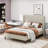 High Back Soft Bed, High Quality Soft Bed-2019046018