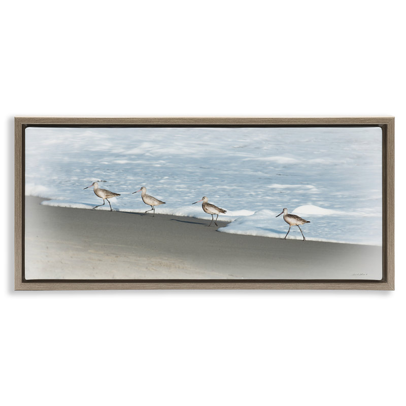 «Four Sandpipers on Beach Floater», art mural sur toile par Rhonda Addison, Cadre flottant orme Montalcino, H 14 po x l 31 po