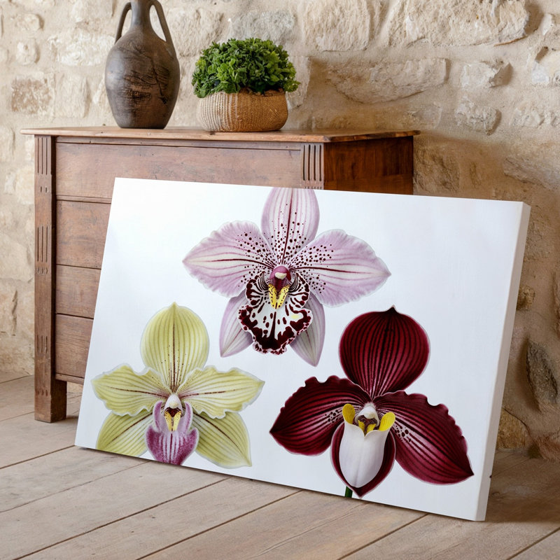 Toile A Gros Up Composition mettant en vedette trois orchidées exquises présentant leur art mural, pétales délicats et motifs complexes