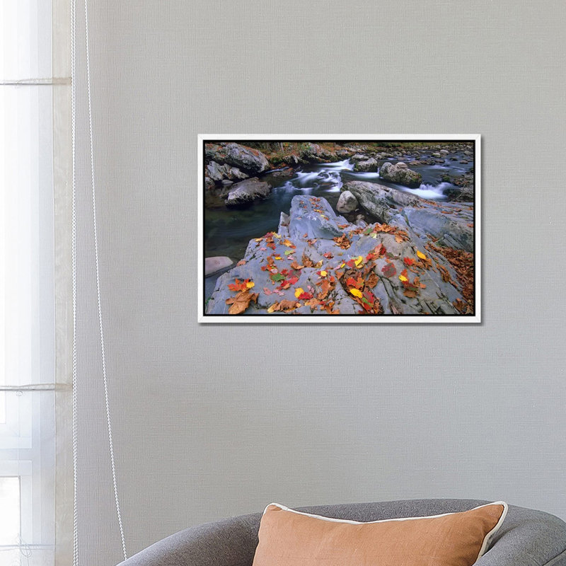 Little Pigeon River, Great Smoky Mountains National Park, Tennessee by Tim Fitzharris - Gallery-Wrapped Canvas Giclée on Canvas