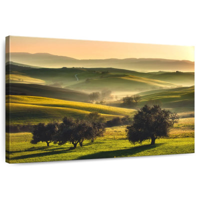 Alvord Foggy Tuscan Field