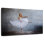 Enn Beautiful Ballerina
