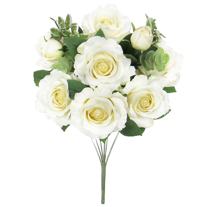 Rosier, Crème / blanc