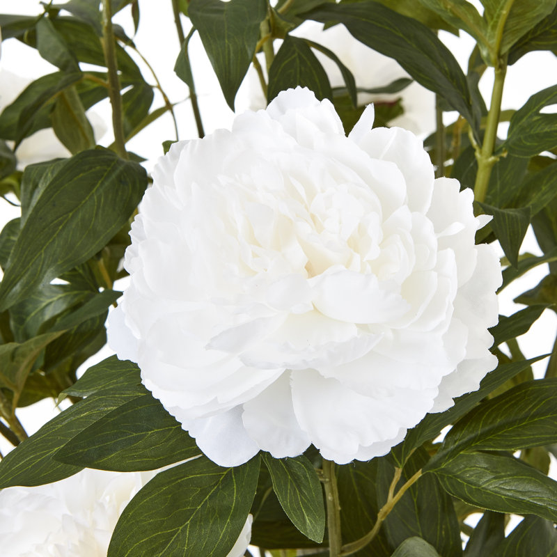 Annitta 106cm Plant in Pot