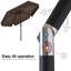 Holmquist parasol-303353546-400481529