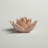 Kallas Pink Ceramic Succulent