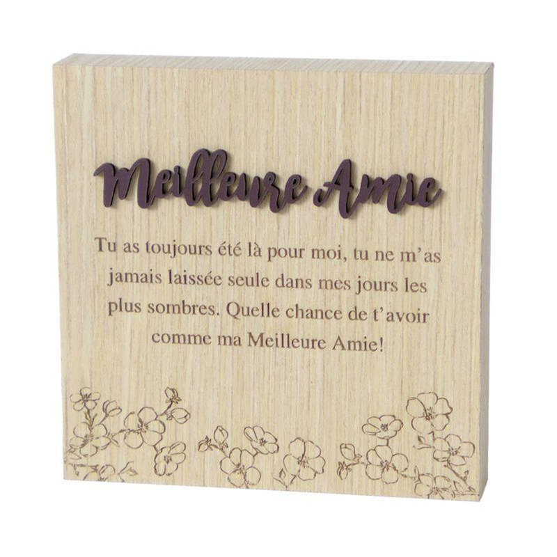 Meilleure plaque Amie