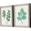 Botanical I Set by THE Studio