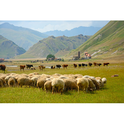 Georgian Sheeps par Madzia71