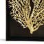 Fan Coral Shadow Box-60151048