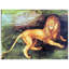 Albrecht Dürer - Wrapped Canvas Painting