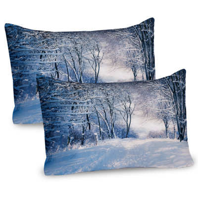 Ambesonne Winter Pillow Sham 2 Pack Alley in Snowy Forest Blue Black White -  pil-2_44963_26x20