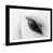 Black Framed