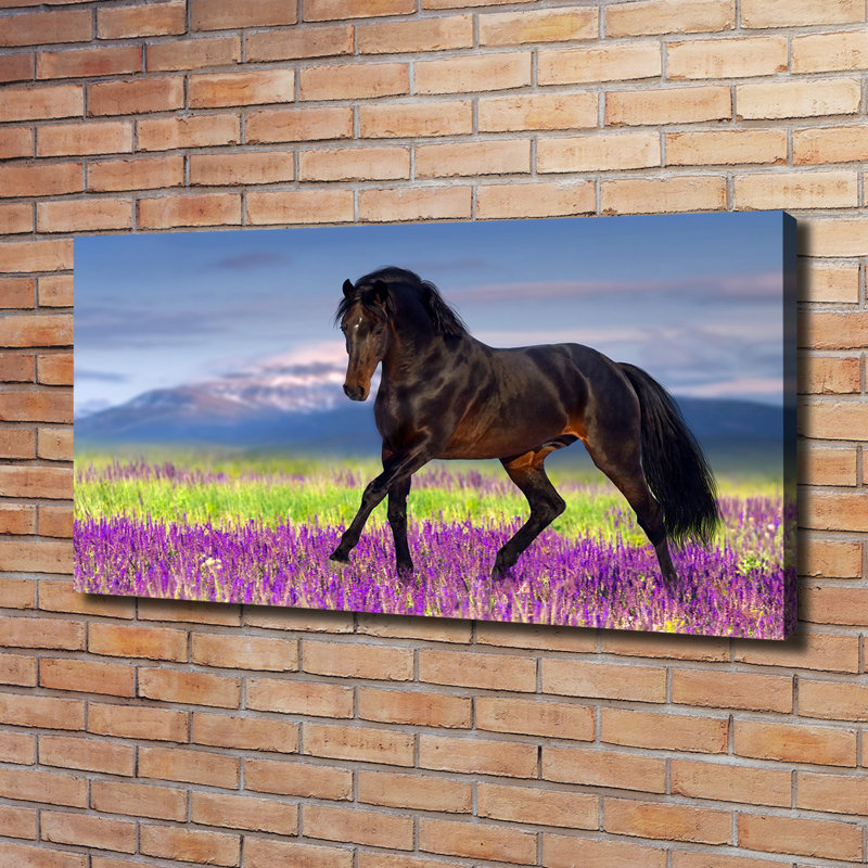 Horse On The Lavender Field - Wrapped Canvas Print