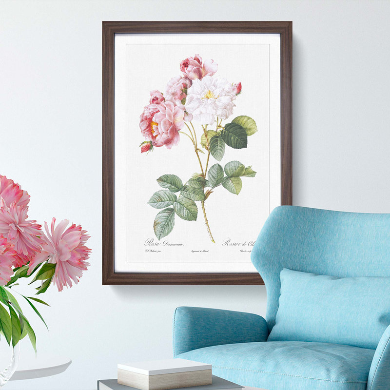 Damask Roses in Pink by Pierre-Joseph Redoute - Picture Frame Painting Print, 48cm H x 36cm W x 2cm D, Walnut Framed