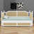 Blanc antique est en rupture de stock