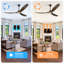 Ceiling Fan With Remote-1710145977-1710145979