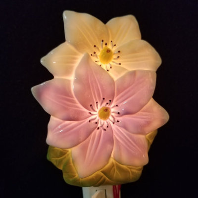 Two Flowers Night Light
