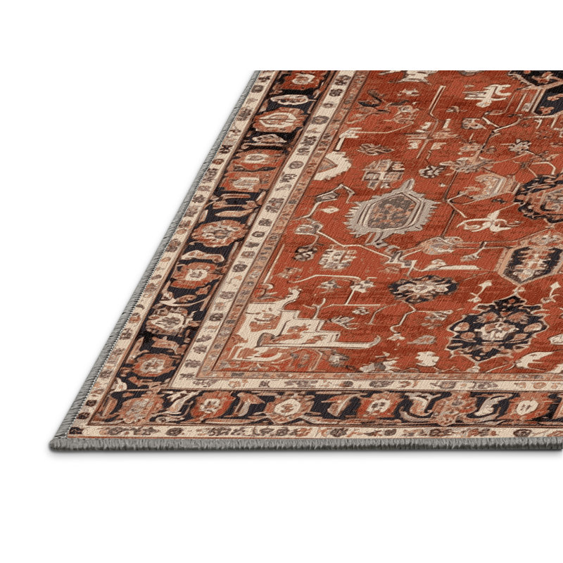Tapis brun lavable à la machine, Rectangle 5 pi x 7 pi