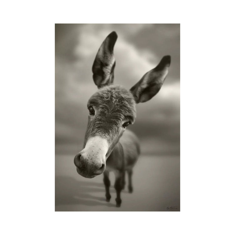 Hey There by Ben Heine - Print on Canvas, 66.04 cm H x 45.72 cm W x 1.91 cm D, Wrapped Canvas
