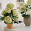 23" Artificial Light Green Potted Hydrangea Plant