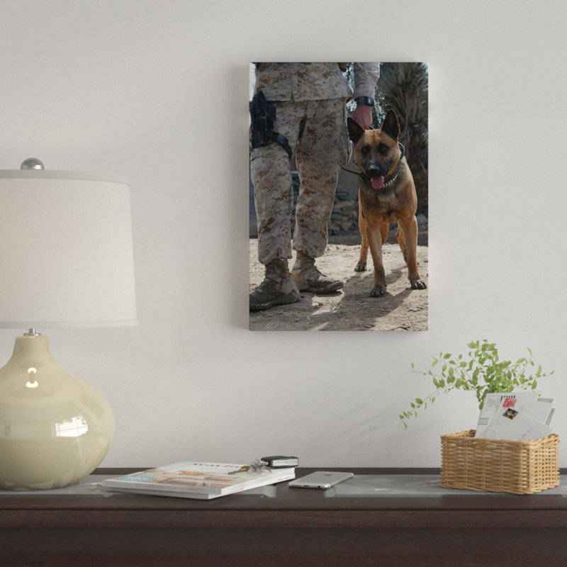 « a belgium malonois militaire working dog stands » par son gestionnaire», reproduction de photo sur toile, Toile tendue