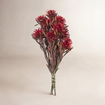 Preserved Plumosum Arrangement