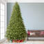 Lighted Artificial Fir Christmas Tree-845459266