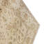 Hand Knotted Wool Area Rug in Cream