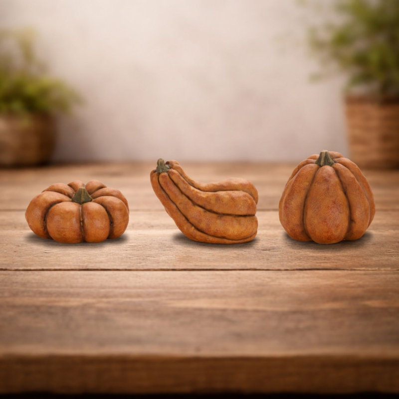 Ensemble de 3 citrouilles rustiques en terre cuite